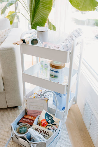 The Postpartum Playbook: Roadmap to Recovery & Renewal After Birth